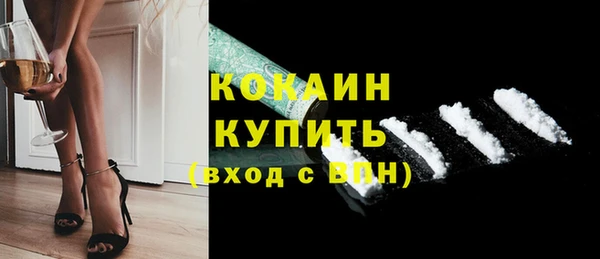 дмт Горняк