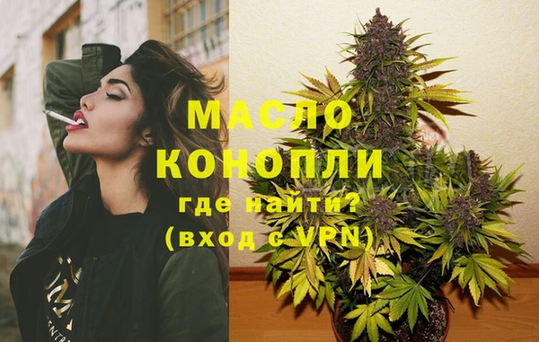 дмт Горняк
