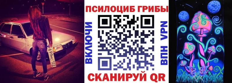 Галлюциногенные грибы Psilocybe  Купить  Коряжма 